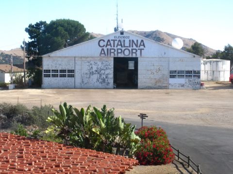 Catalina Island: a brief update