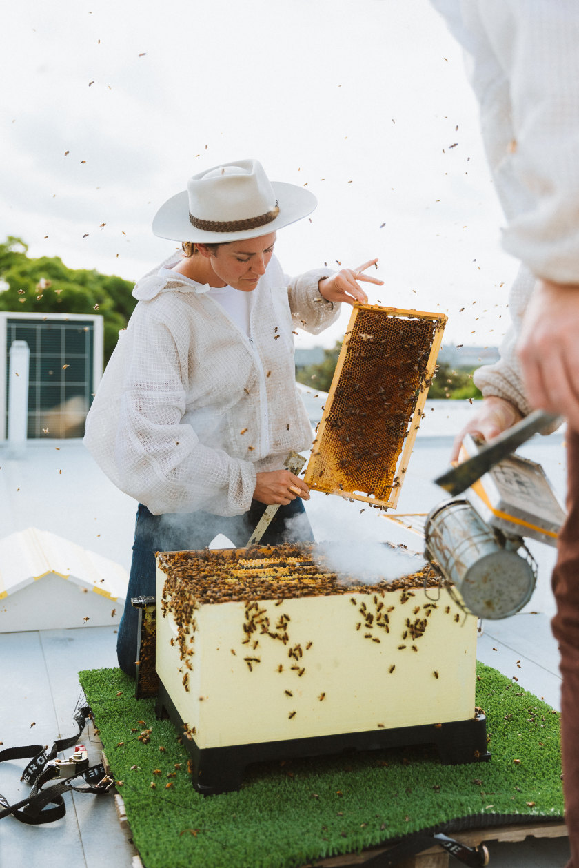 Emmy-winning documentary 'Liquid Gold' spotlights Tuscaloosa beekeeper