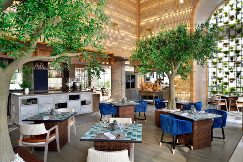 Lo+Cale restaurant with high ceilings and trees within the space