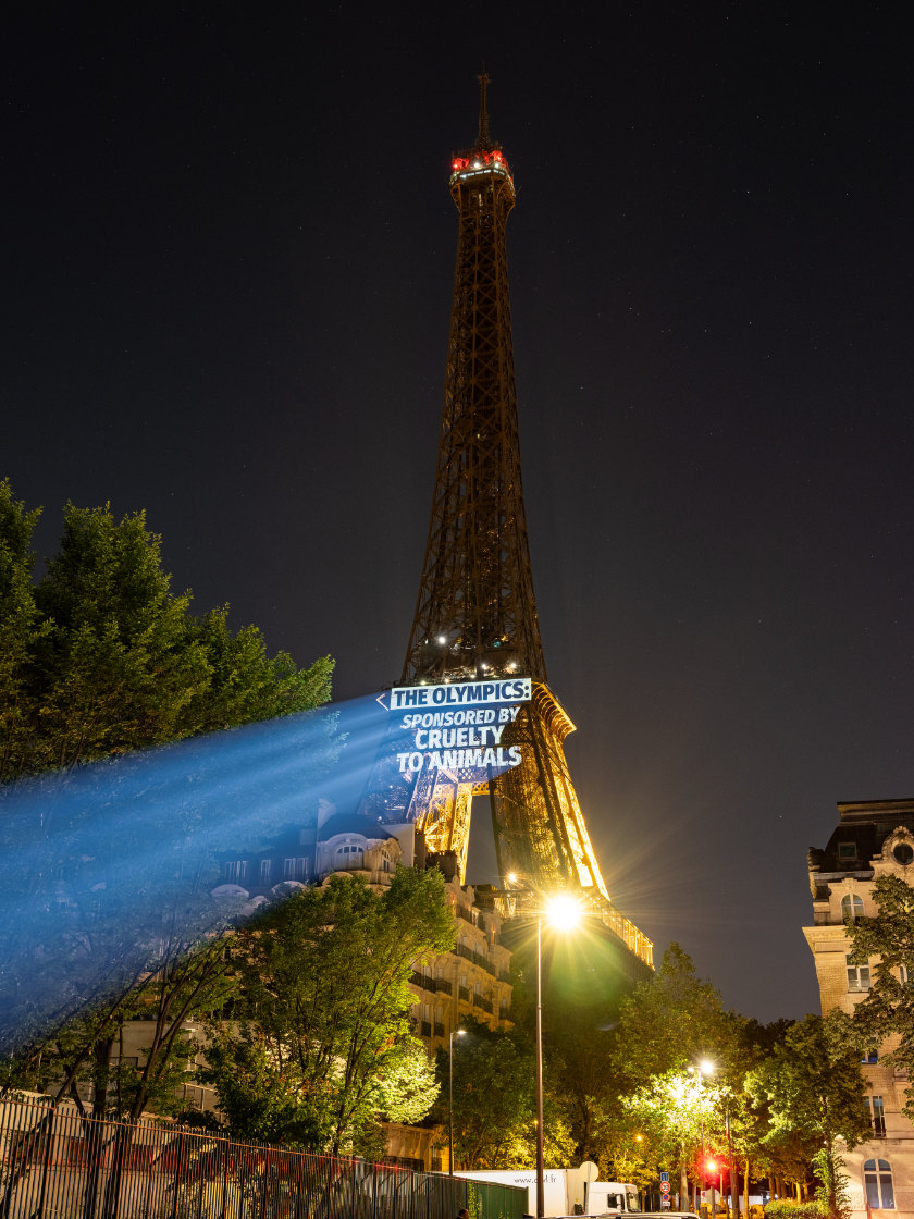 Projection on to the Eiffel Tower