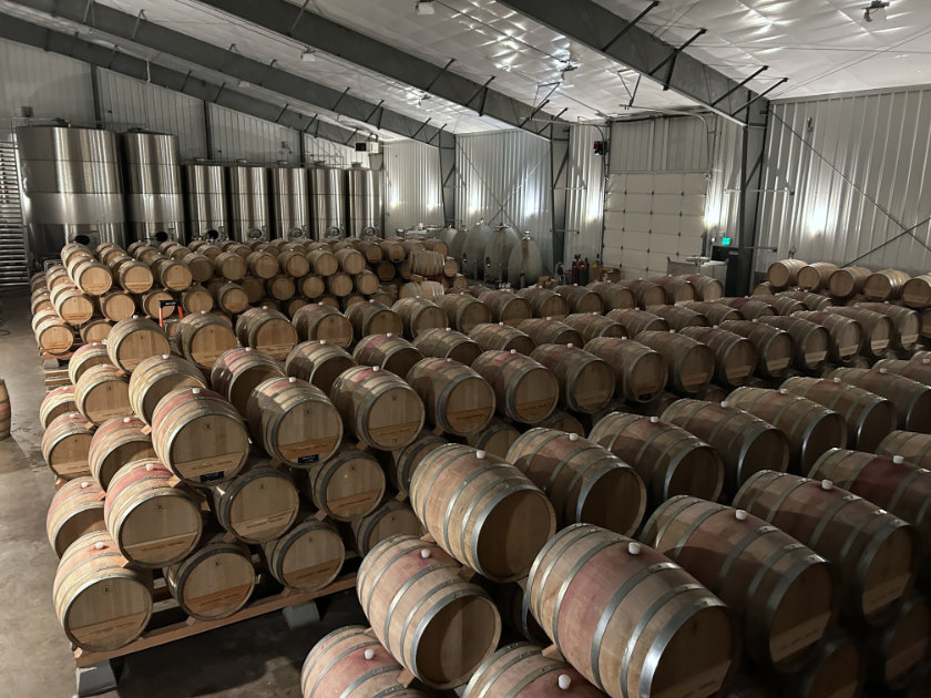 Hundreds of stored wine barrels.