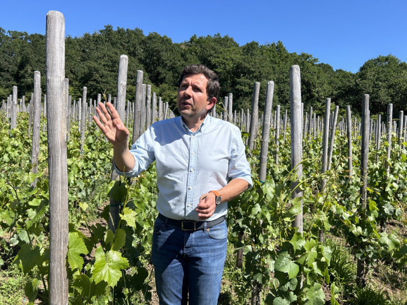 Guillaume in the vineyard.