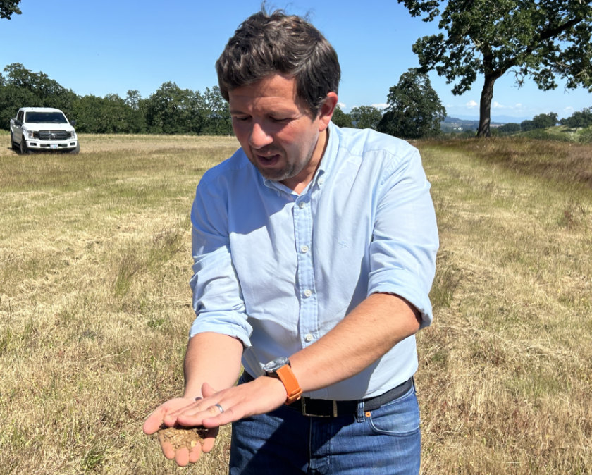 Guillaume in the vineyard.