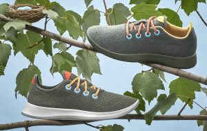 News of comfortable shoes: Alterre shows at Norwood Club; Allbirds celebrates Bird of the Year